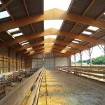 Construction de bâtiments agricoles / stabulations, charpente bois, orne (61) Normandie : LEVEQUE S CHARPENTE